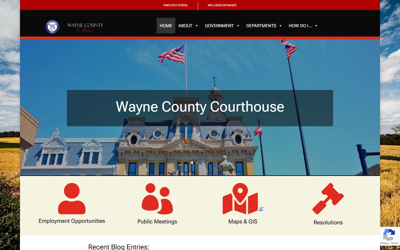Wayne County booking reports county government website